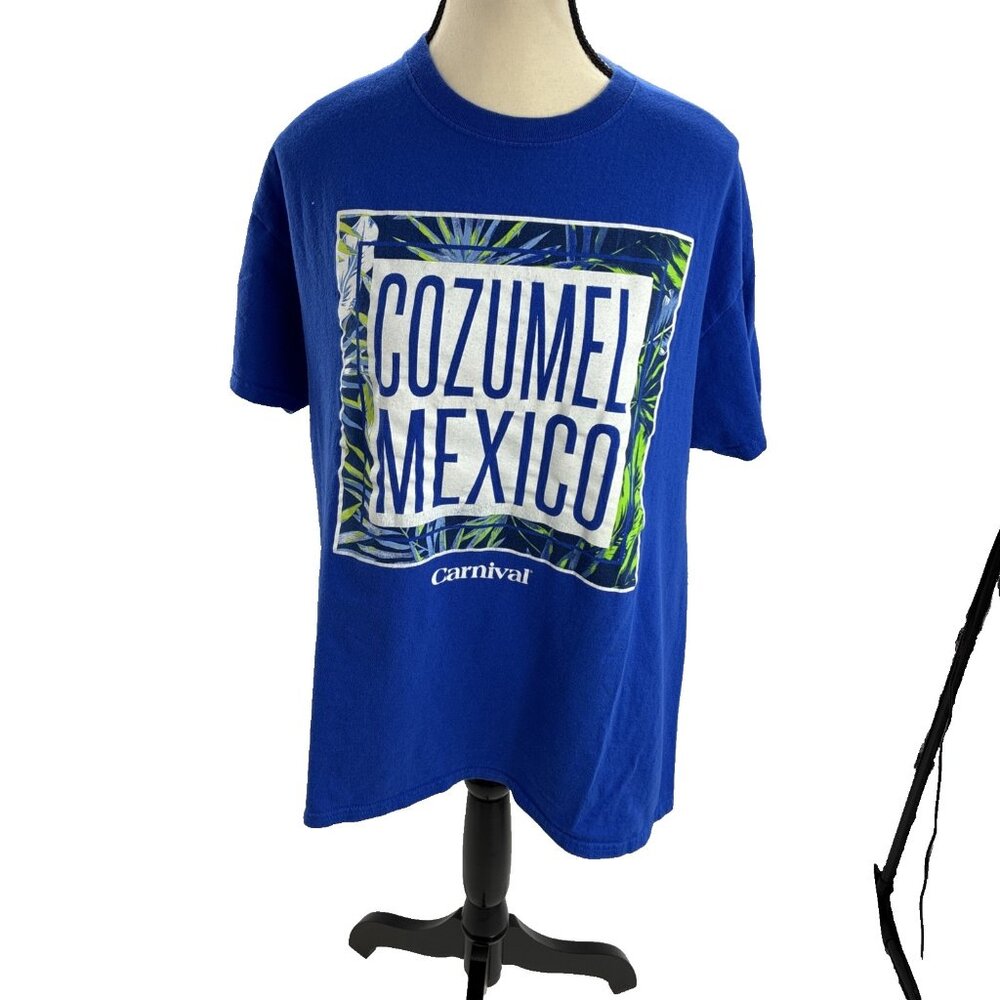 Gildan Unisex Size L T Shirt Blue Cozumel Mexico Carnival Cruise Graphic Tee
